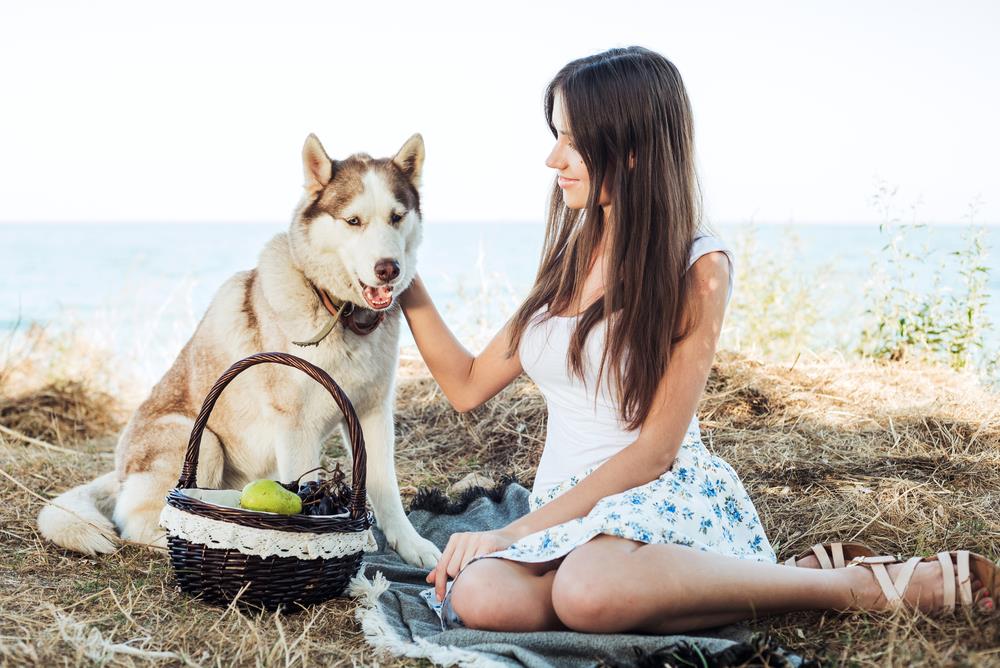 Can Dogs Eat Red Grapes