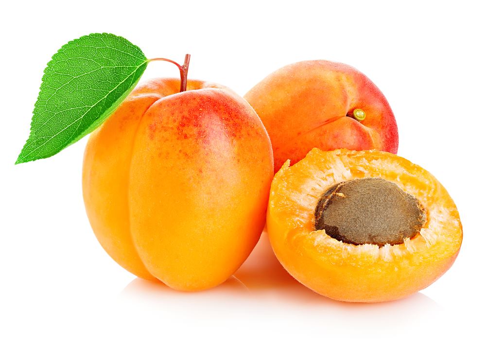 How Many Apricots Should Be Given To Dogs