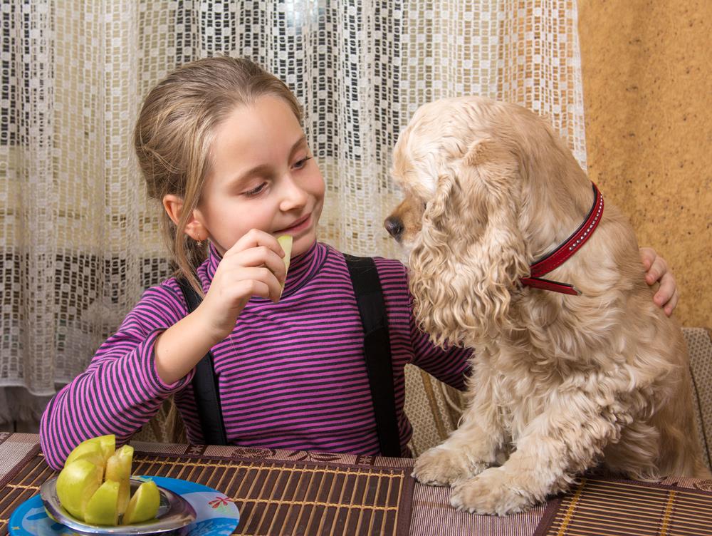 Things to look for while serving Apples to your Dog