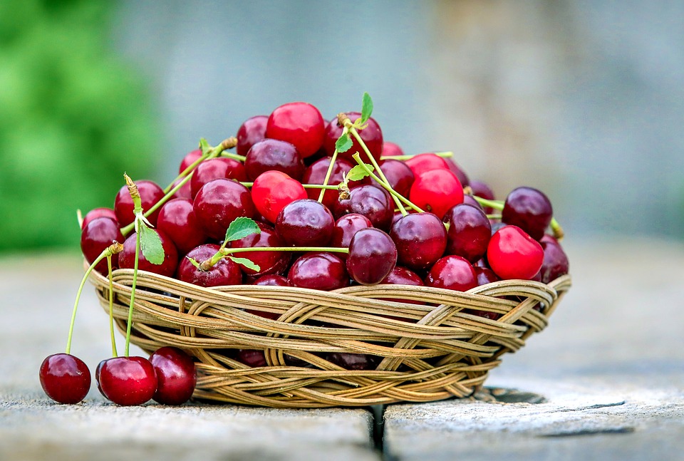 Are Cherries OK For Dogs To Eat