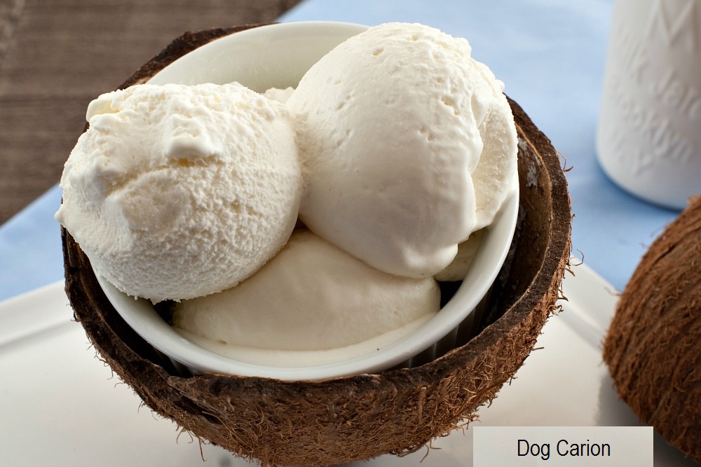 Can Dogs Eat Coconut Ice Cream