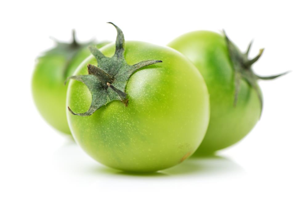 Can Dogs Eat Green Tomatoes