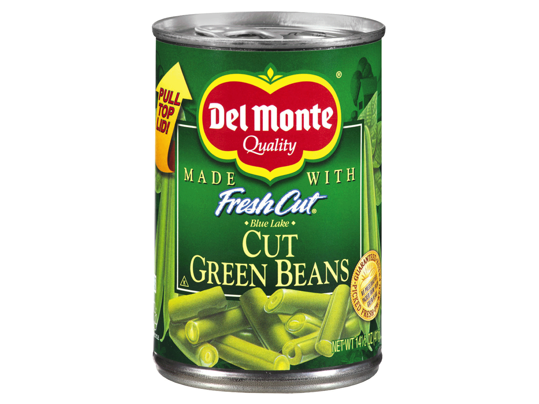 Can Dogs Have Canned Green Beans