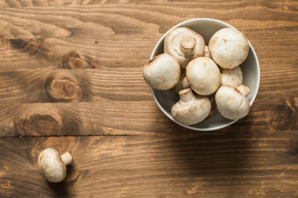 Can Dogs Have Mushrooms To Eat