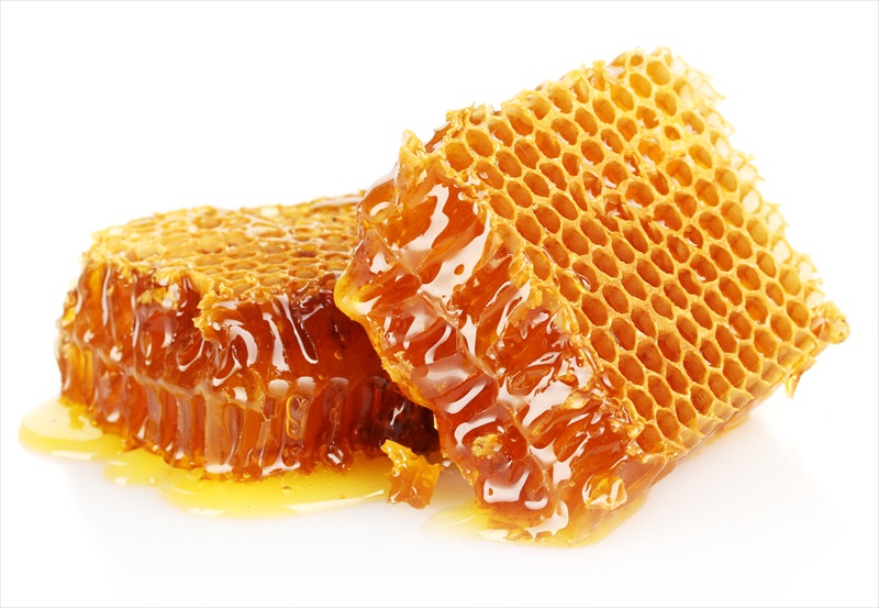 Is It Ok To Give Honey To Dogs