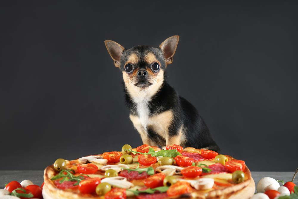 Can Dogs Eat Mushrooms From Pizza