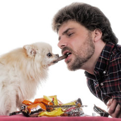 can dogs eat peanut butter