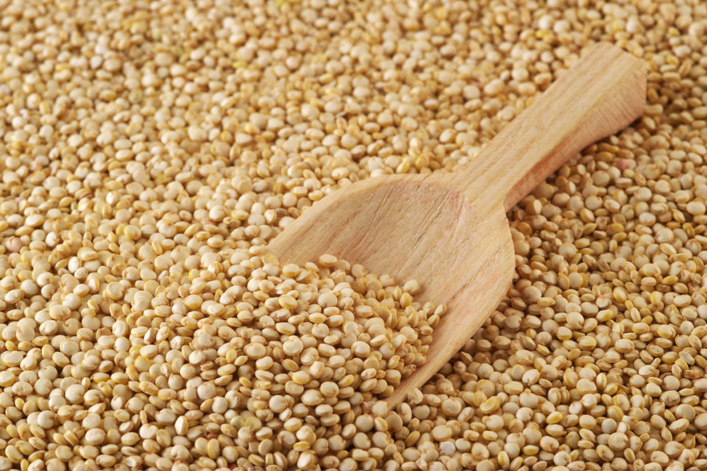 Can Dogs Eat Quinoa? Will Quinoa Be Valuable For My Dog? Dog Carion