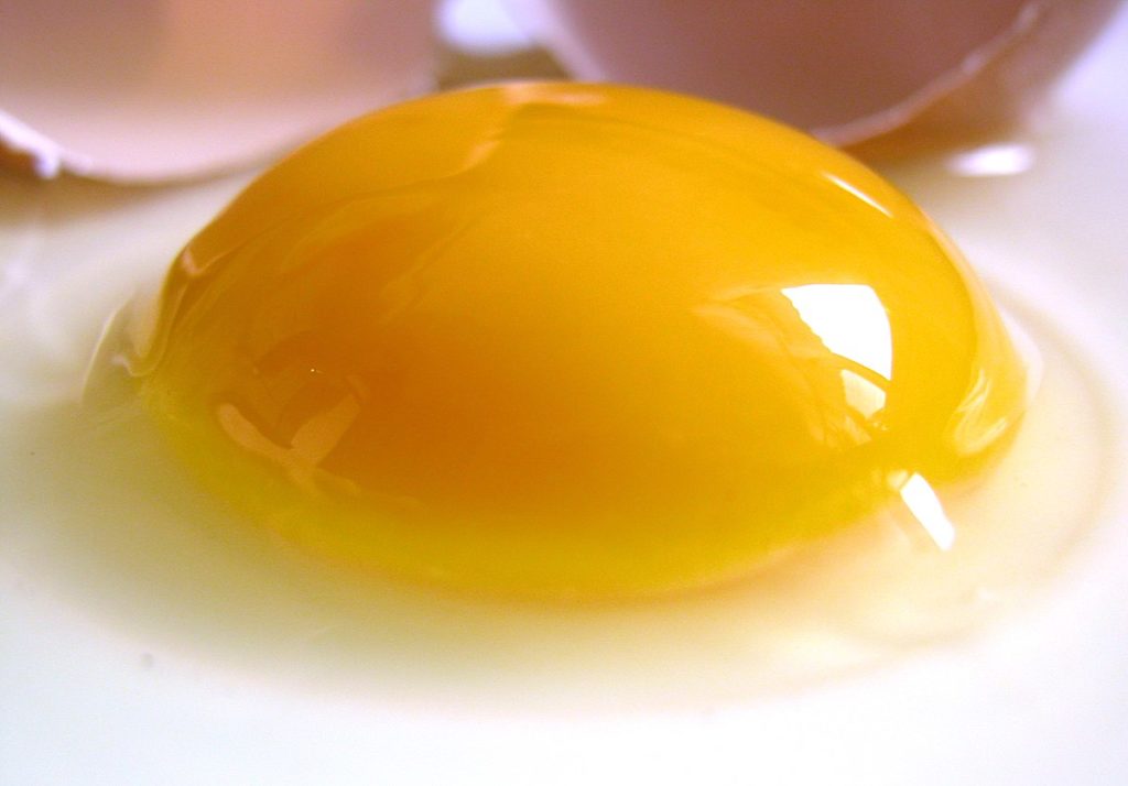 Can Dogs Eat Raw Eggs? What Happens If My Dog Eats Raw Egg?
