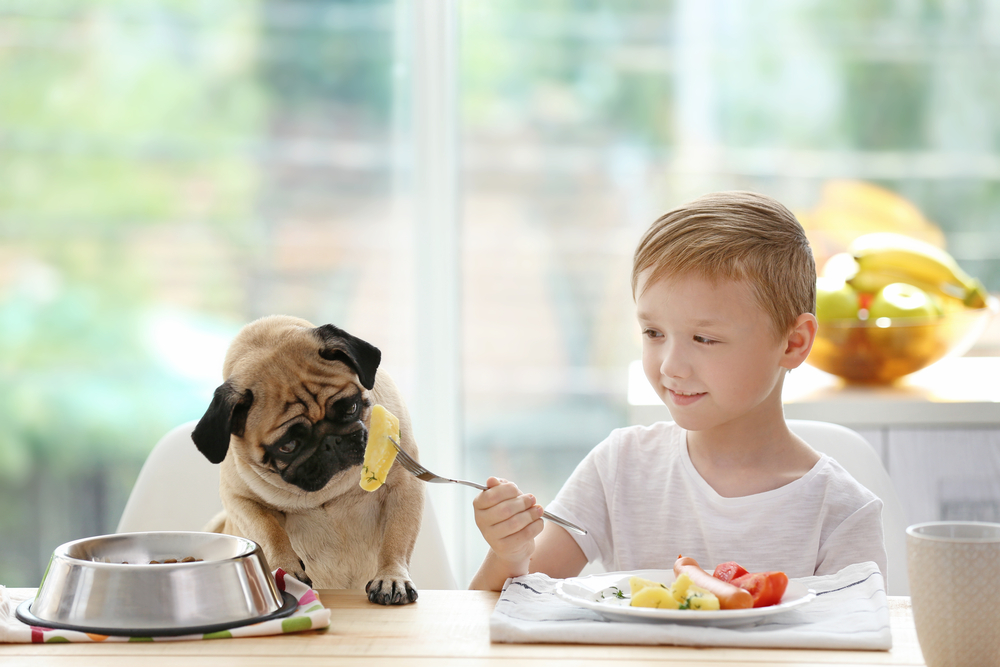 can dogs eat potatoes