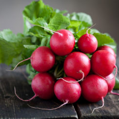 can dogs eat radishes