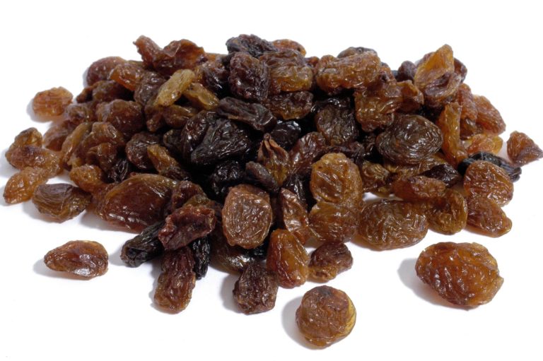 Can Dogs Eat Raisins? How Many Raisins Will Hurt A Dog? Dog Carion