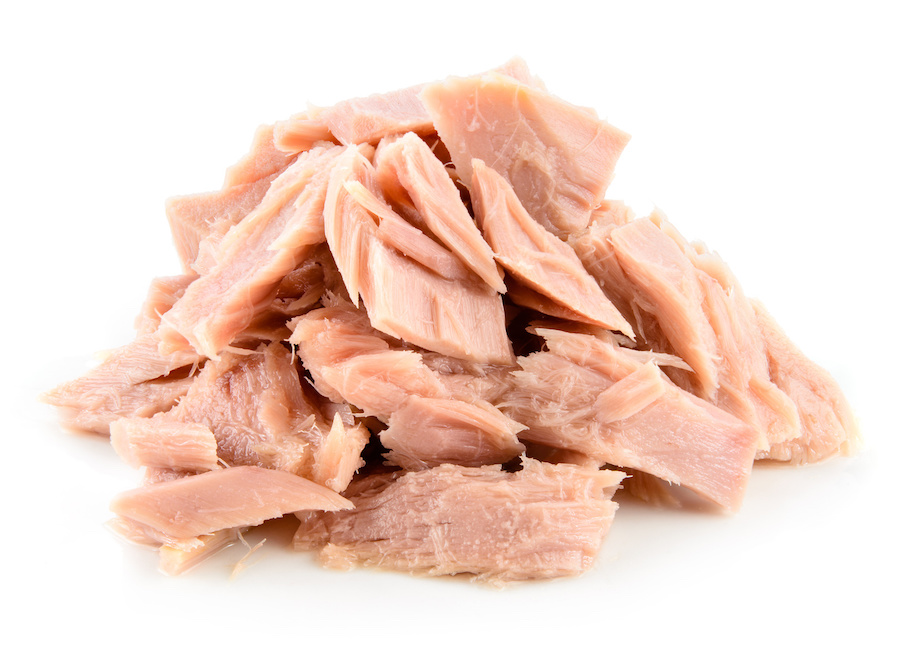 Can Dogs Eat Tuna Every day