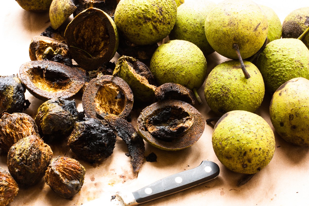 Can Dogs Eat Walnuts? Is It bad For Dogs To Eat Walnuts? Dog Carion