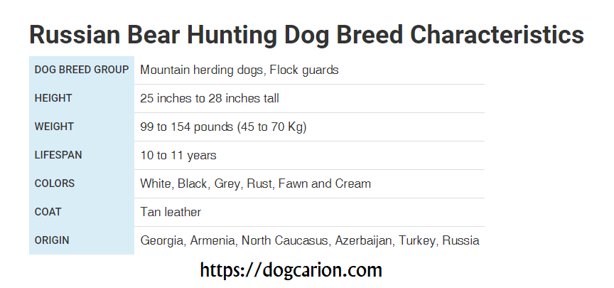 Russian Bear Dog Size.