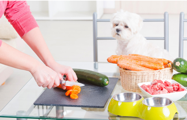 Preparing Homemade Fresh Dog Food