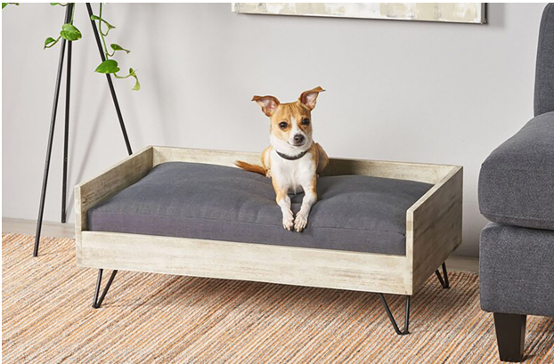 How to Shop the Right Organic Dog Beds?