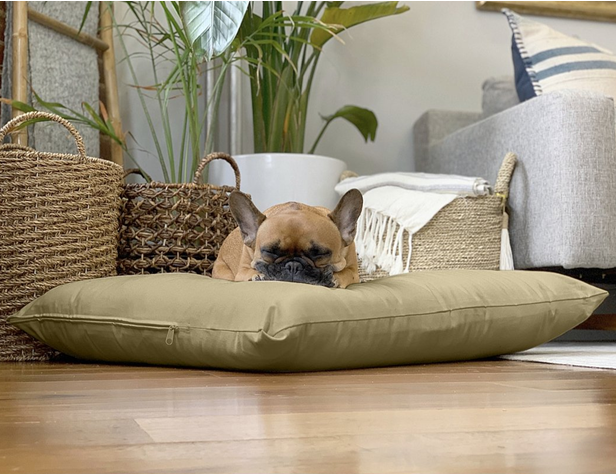Why Choose Organic Dog Beds?
