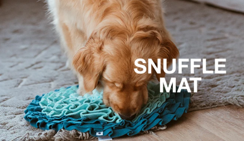 Snuffle Mat Guide